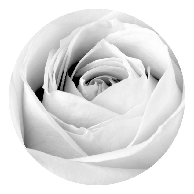 Tapete Schwarz-Weiß Close Up Rose