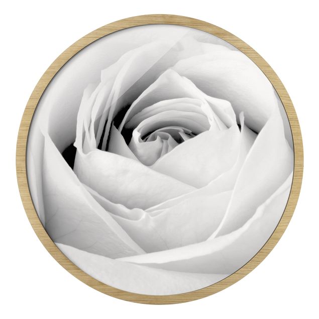 Rundes Gerahmtes Bild - Close Up Rose