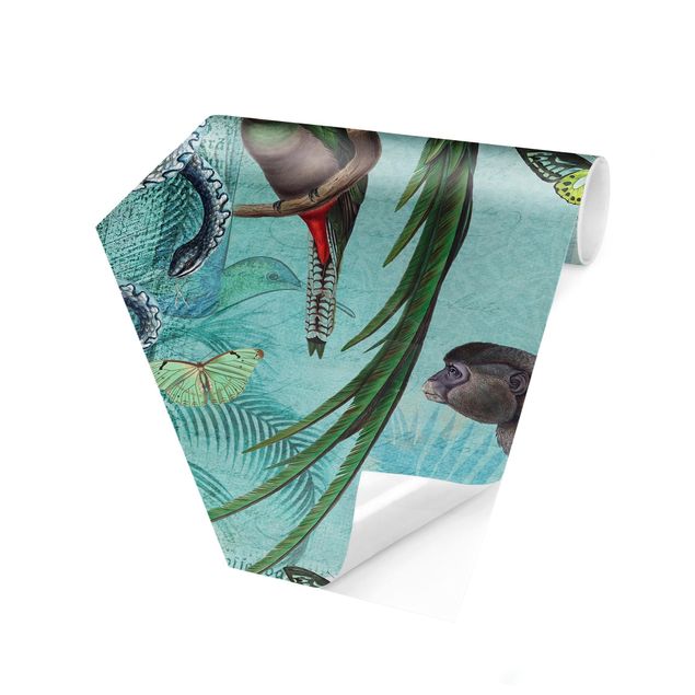 Fototapete grün Colonial Style Collage - Äffchen und Paradiesvögel