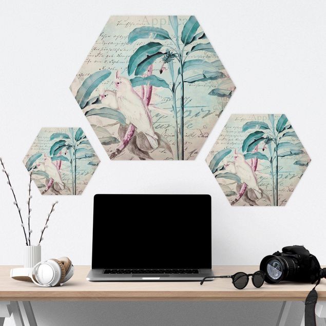 Hexagon-Forexbild - Colonial Style Collage - Kakadus und Palmen