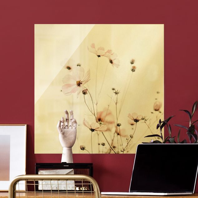 Glasbilder Blumen Cosmea in zarten Cremetönen