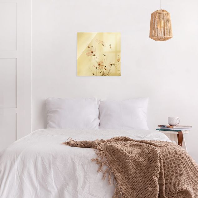Schöne Wandbilder Cosmea in zarten Cremetönen
