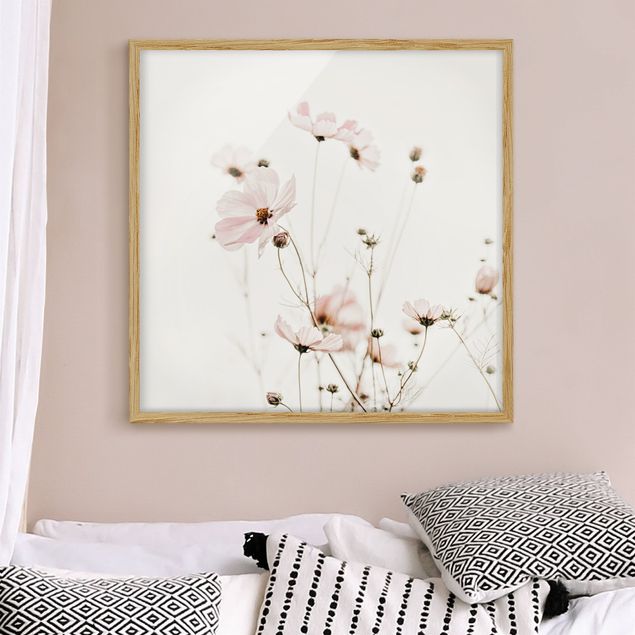 Bilder mit Rahmen Blumen Cosmea in zarten Cremetönen