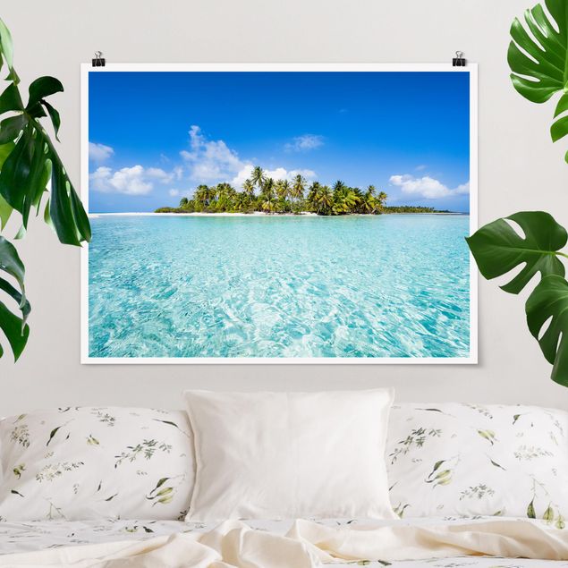 Poster Blumen Crystal Clear Water