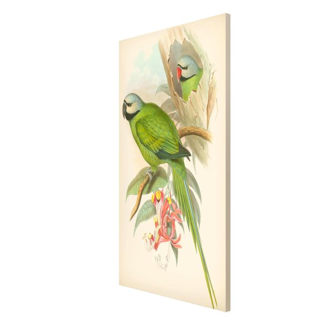 Magnettafel Blumen Vintage Illustration Tropische Vögel II