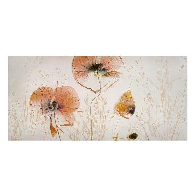 Magnettafel - Getrocknete Mohnblüten mit zarten Gräsern - Panorama Querformat
