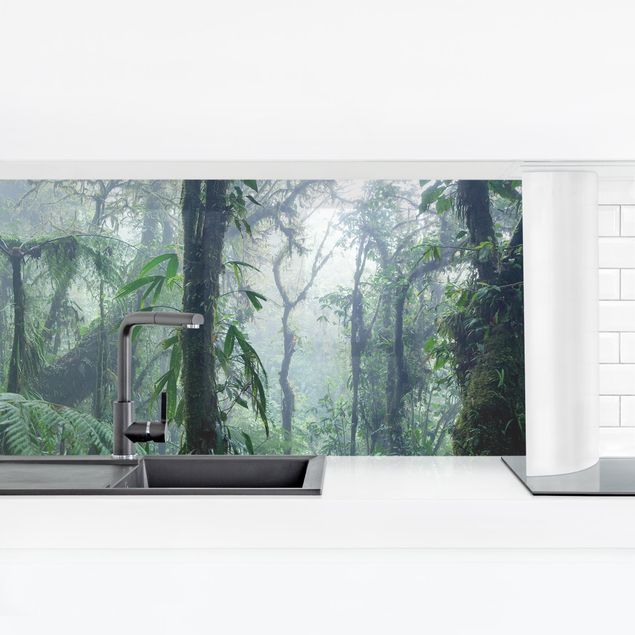 Küchenrückwand Glas Landschaft Monteverde Nebelwald