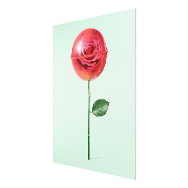 Forex Fine Art Print - Jonas Loose - Rose mit Lollipop - Hochformat 4:3