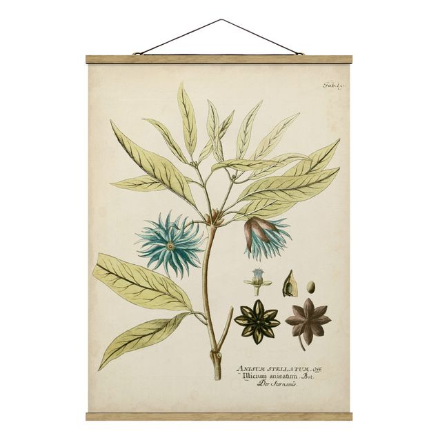 Stoffbild mit Posterleisten - Vintage Botanik in Blau Sternanis - Hochformat 3:4