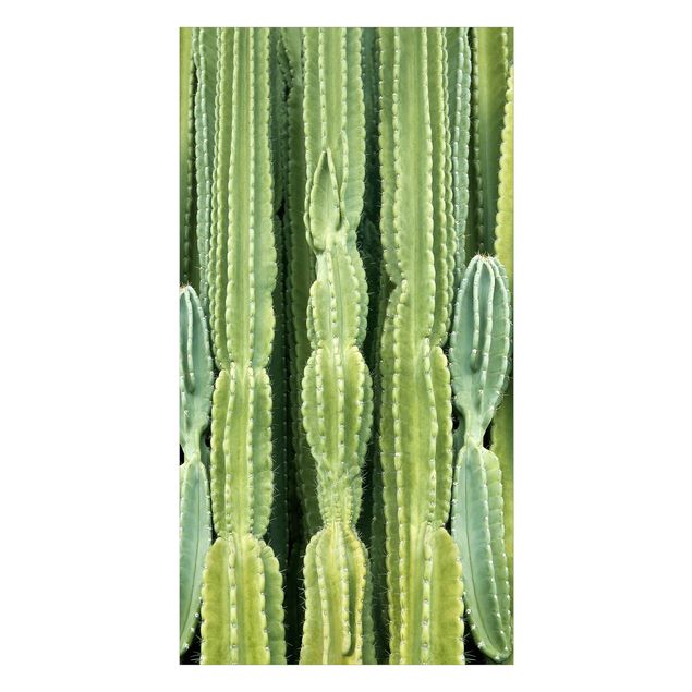 Duschrückwand - Kaktus Wand
