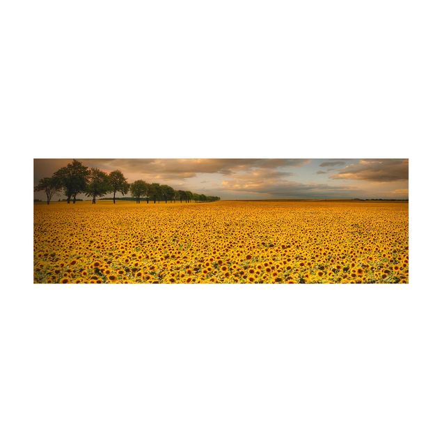 Teppich Blumen Feld mit Sonnenblumen