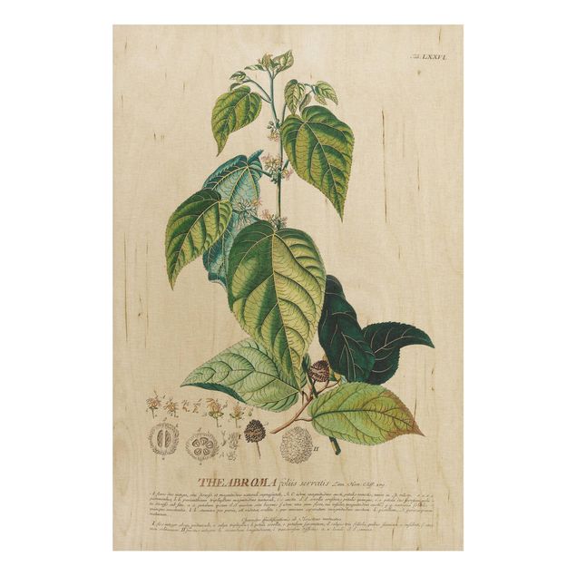 Holzbild Blumen Vintage Botanik Illustration Kakao