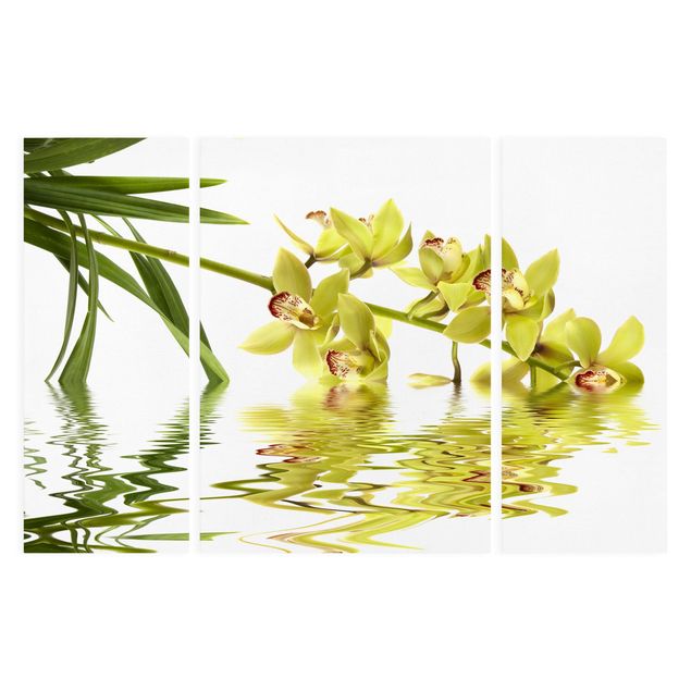 Wandbilder Elegant Orchid Waters