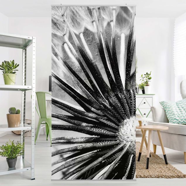 Raumteiler - Pusteblume Schwarz & Weiß 250x120cm