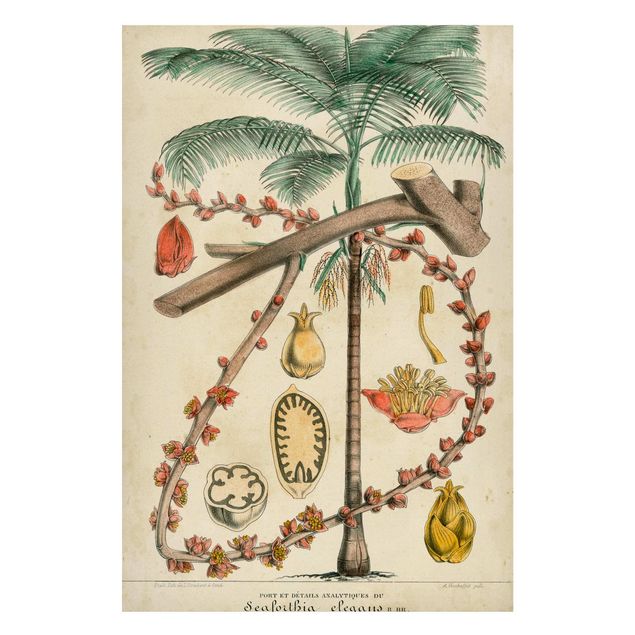 Magnettafel Blumen Vintage Lehrtafel Exotische palmen II