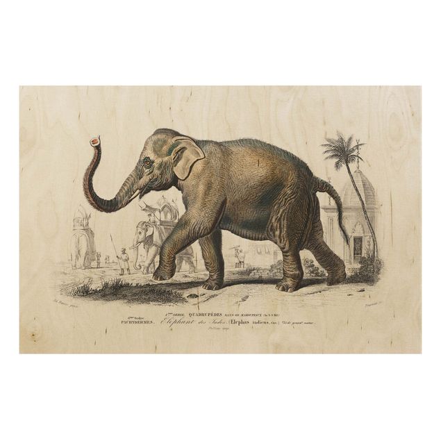 Holzbilder Landschaften Vintage Lehrtafel Elefant