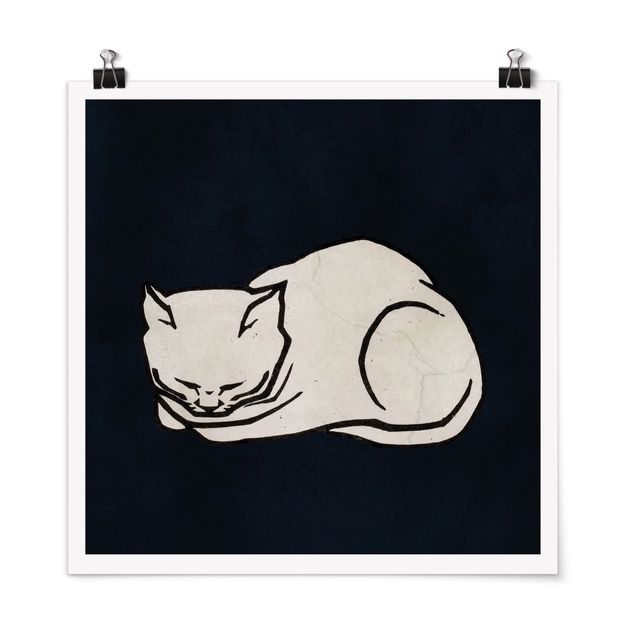 Poster Schwarz-Weiß Schlafende Katze Illustration
