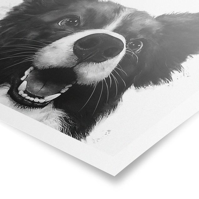Poster - Illustration Hund Border Collie Schwarz Weiß Malerei - Hochformat 4:3