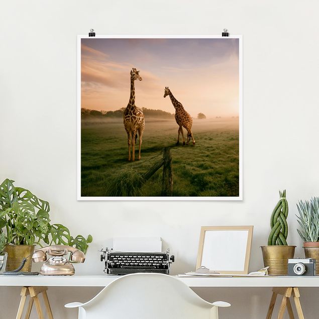 Poster - Surreal Giraffes - Quadrat 1:1