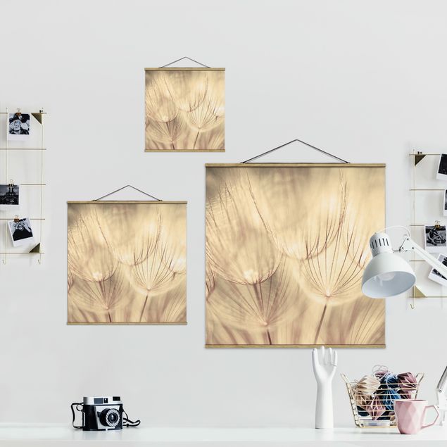 Stoffbild mit Posterleisten - Pusteblumen Nahaufnahme in wohnlicher Sepia Tönung - Quadrat 1:1
