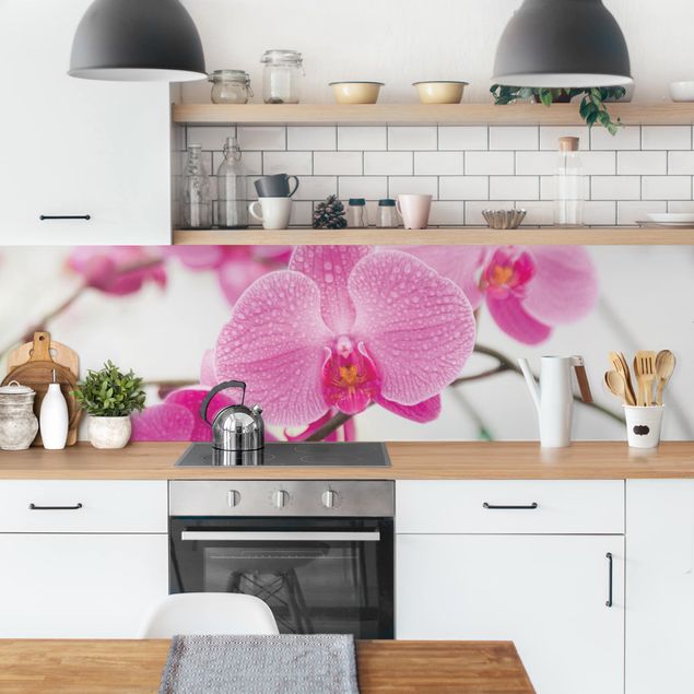 Glasrückwand Küche Blumen Nahaufnahme Orchidee