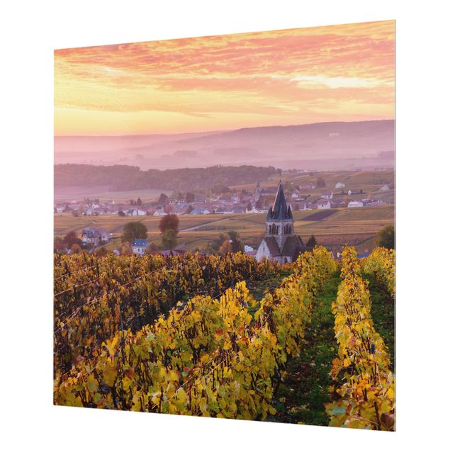 Spritzschutz - Weinplantage bei Sonnenuntergang - Quadrat 1:1