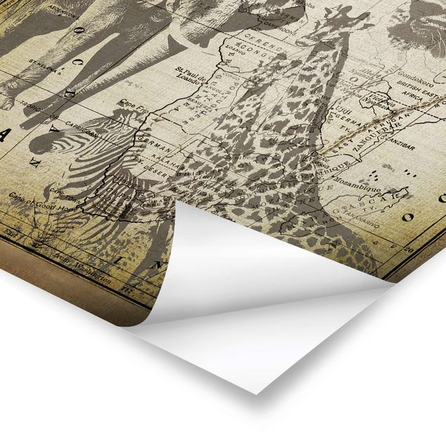 Poster kaufen Vintage Collage - Africa Wildlife