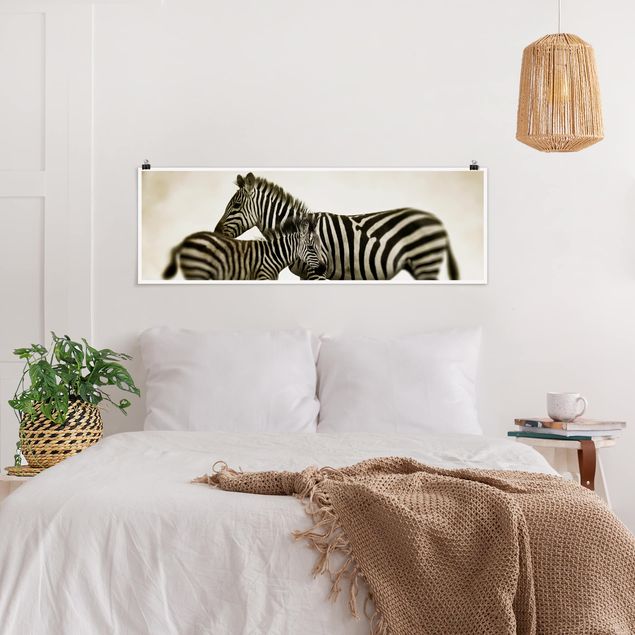 Wandposter Schwarz-Weiß Zebrapaar