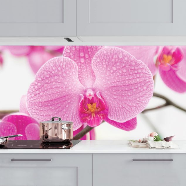 Küchenrückwände Platte Nahaufnahme Orchidee