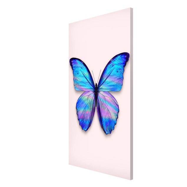Magnettafel weiß Holografischer Schmetterling