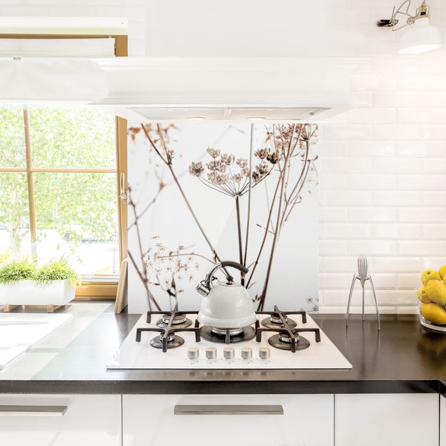 Küchenrückwand Glas Motiv Blumen Trockenblume im Lichtspiel