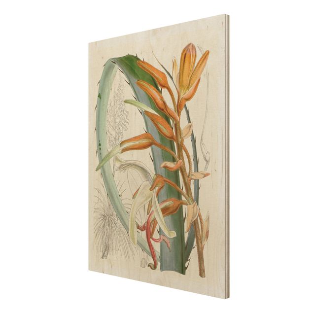Moderne Holzbilder Vintage Illustration Tropische Blüten I