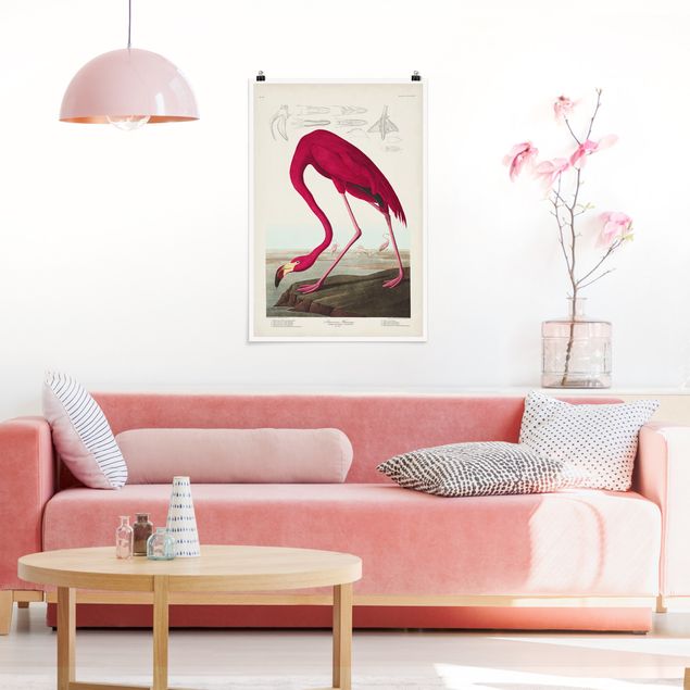 Poster Illustration Vintage Lehrtafel Amerikanischer Flamingo