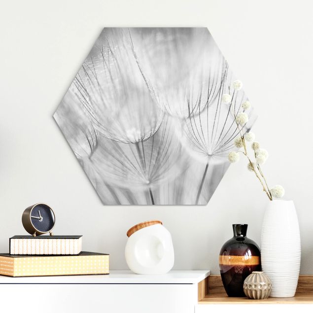 Bilder für die Wand Pusteblumen Makroaufnahme in schwarz weiß