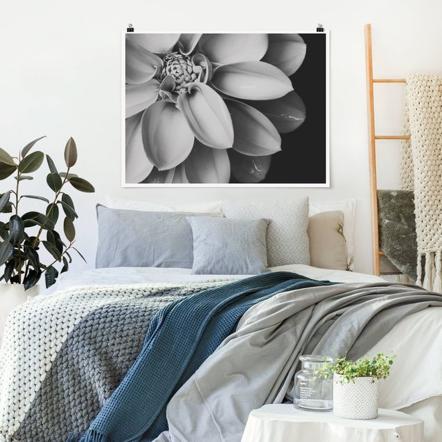 Blumen Poster Im Herzen einer Dahlie Schwarz-Weiß