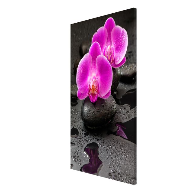 Magnettafel Blumen Pinke Orchideenblüten auf Steinen mit Tropfen