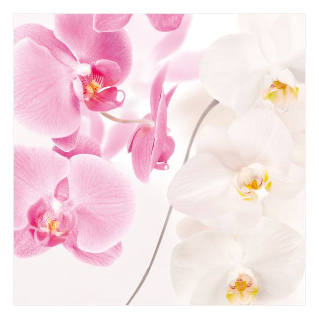 Selbstklebende Folie Delicate Orchids