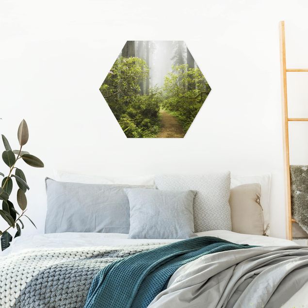 Hexagon Bild Alu-Dibond - Nebliger Waldpfad