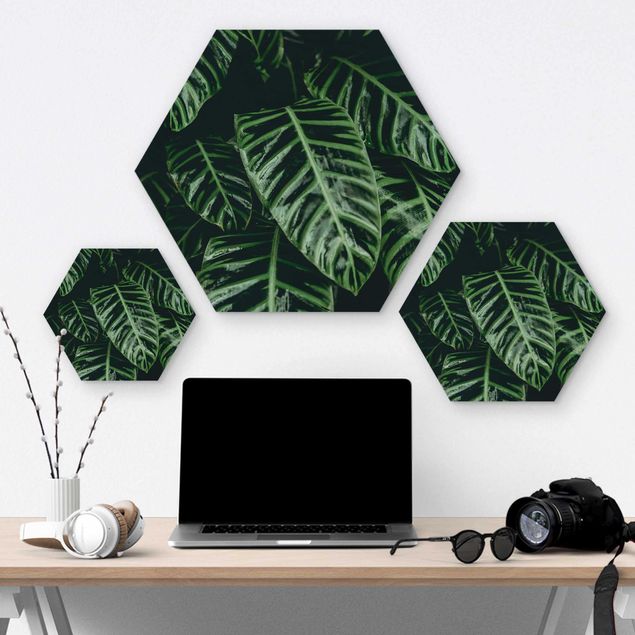 Hexagon Bild Holz - Tropische Pflanzen IV