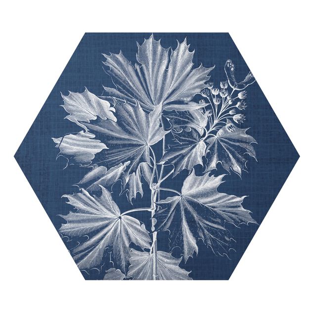 Hexagon Bild Alu-Dibond - Denim Pflanzenstudie V