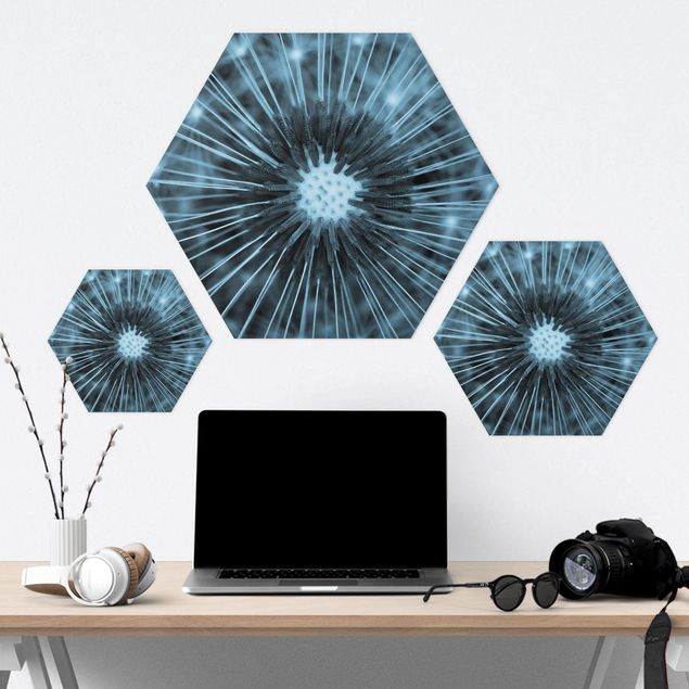 Hexagon Bild Alu-Dibond - Blau getönte Pusteblume