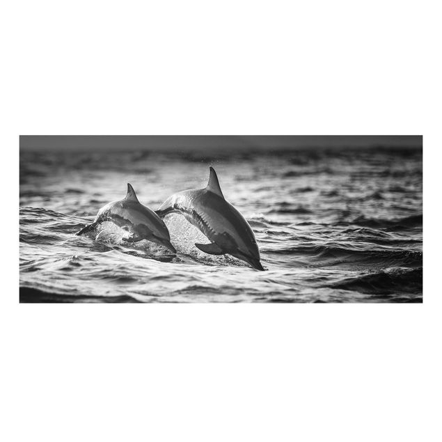 Forex Bilder Zwei springende Delfine