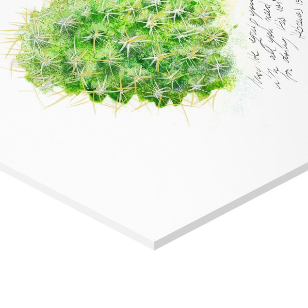 Hexagon Bild Forex 4-teilig - Kaktus mit Bibelvers Set I