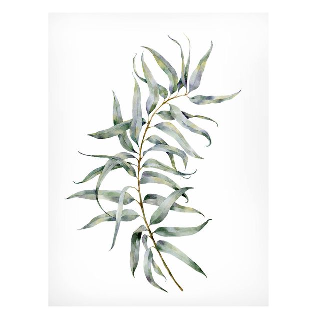 Magnettafel Blumen Aquarell Eucalyptus IV