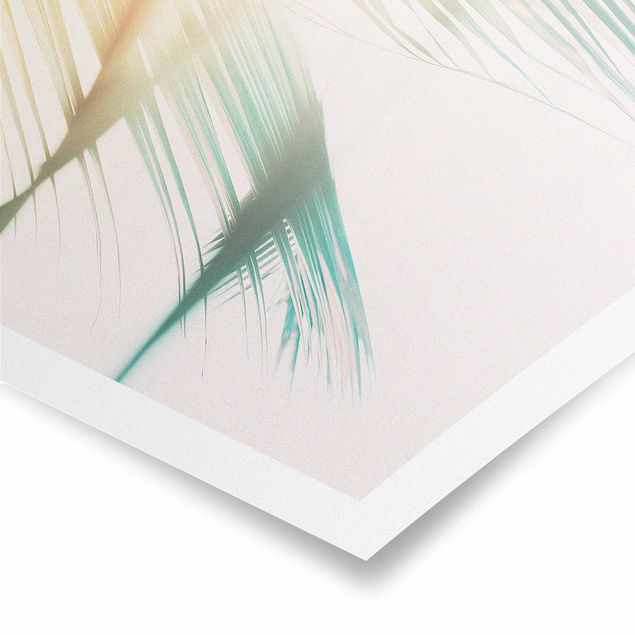 Poster - Tropische Pflanzen Palmen bei Sonnenuntergang II - Hochformat 3:2