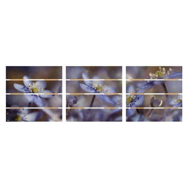 Holzbild 3-teilig - Anemonen in Blau - Quadrate 1:1