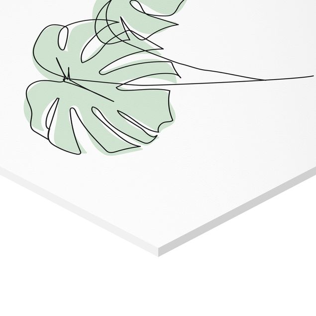 Hexagon Bild Forex 2-teilig - Monstera Blätter Line Art Set