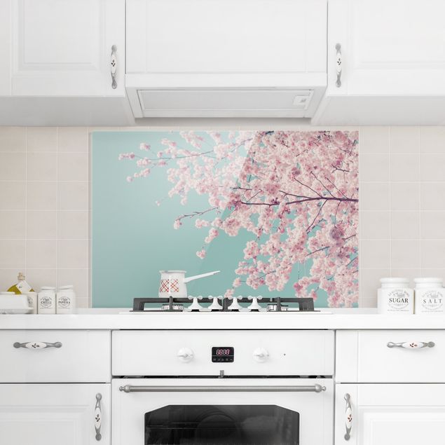 Küchenrückwand Glas Blumen Japanische Kirschblüte