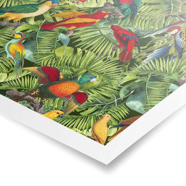 Tiere Poster Bunte Collage - Papageien im Dschungel