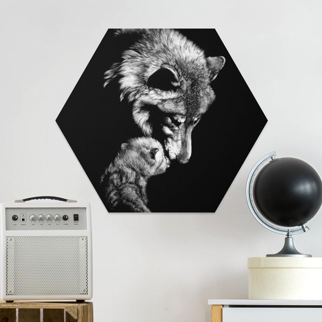 Wandbilder Tiere Wolf vor Schwarz